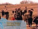 Cowboy Poetry Introduction - This picture begins the segment which includes a portion of Janet's 'Santa's Yodeling Song.'